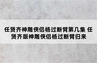 任贤齐神雕侠侣杨过断臂第几集 任贤齐版神雕侠侣杨过断臂归来